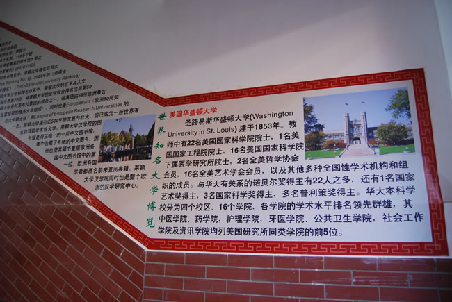 洛陽東方外國語學(xué)校，校園文化走廊1