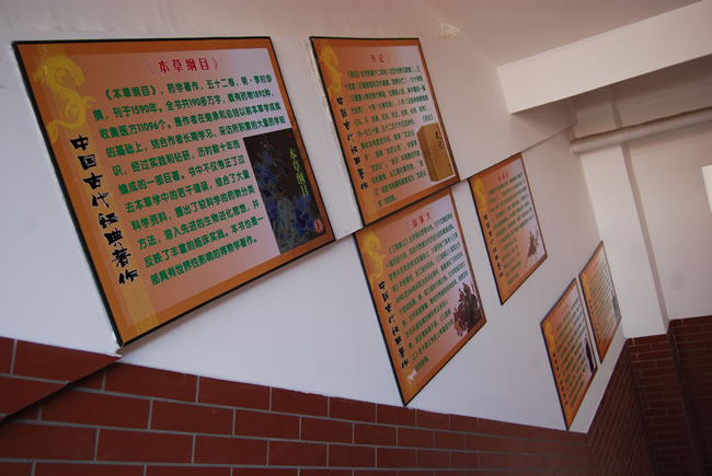 洛陽(yáng)東方外國(guó)語(yǔ)學(xué)校，校園文化走廊