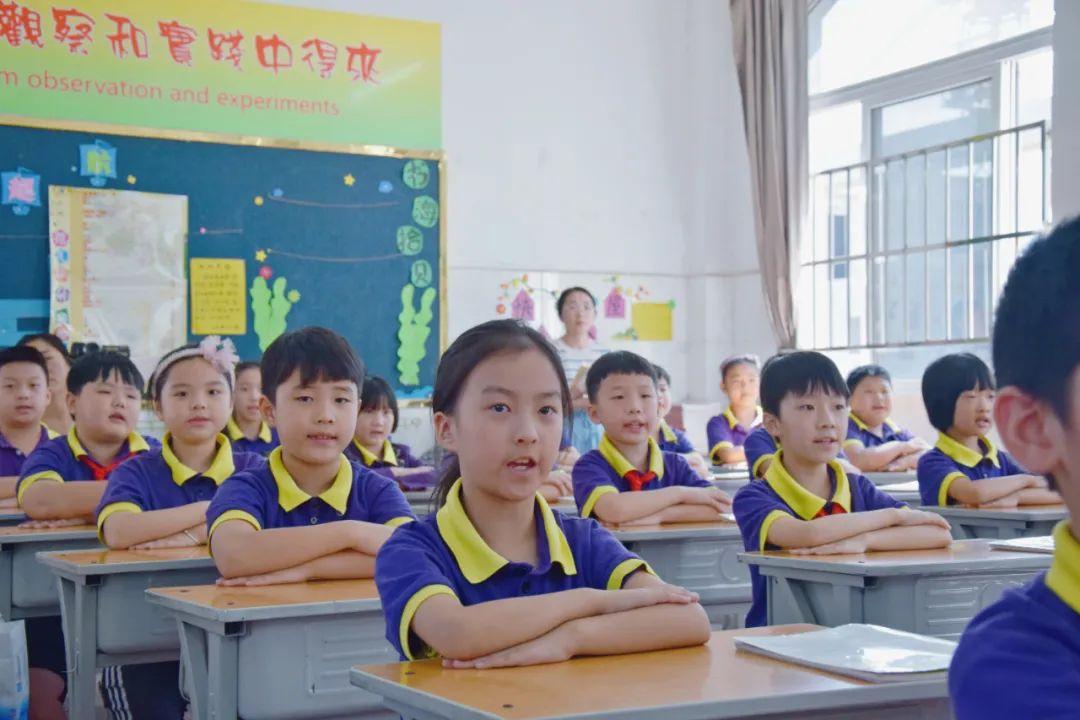 激活自主課堂，點(diǎn)燃研究熱情丨東外小學(xué)部名師引領(lǐng)課活動紀(jì)實(shí)