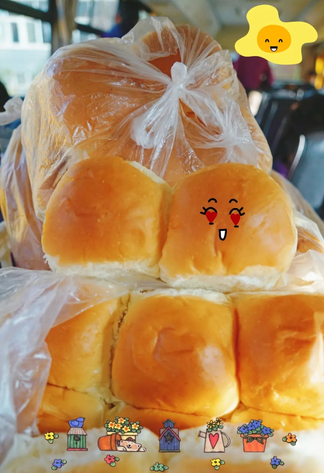 遇見春天 感受牧場生命能量—洛陽東外小學(xué)部研學(xué)系列活動(二)