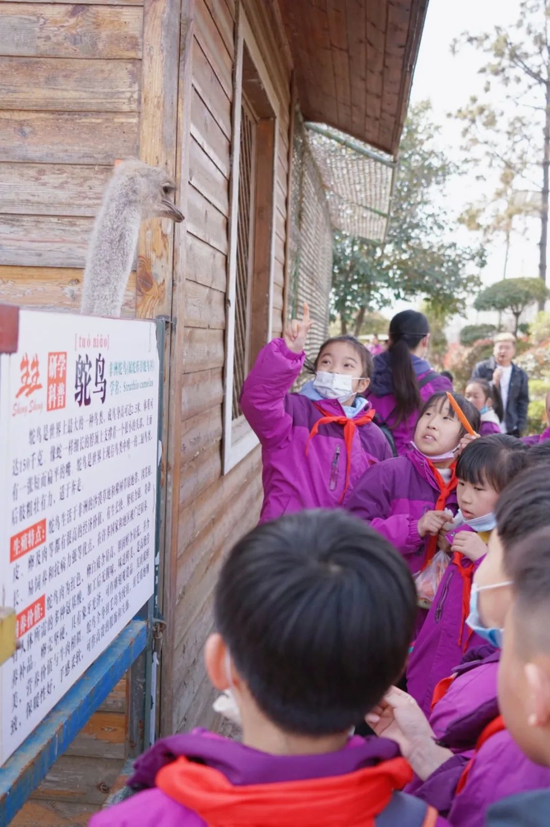 遇見春天 感受牧場生命能量—洛陽東外小學(xué)部研學(xué)系列活動(二)