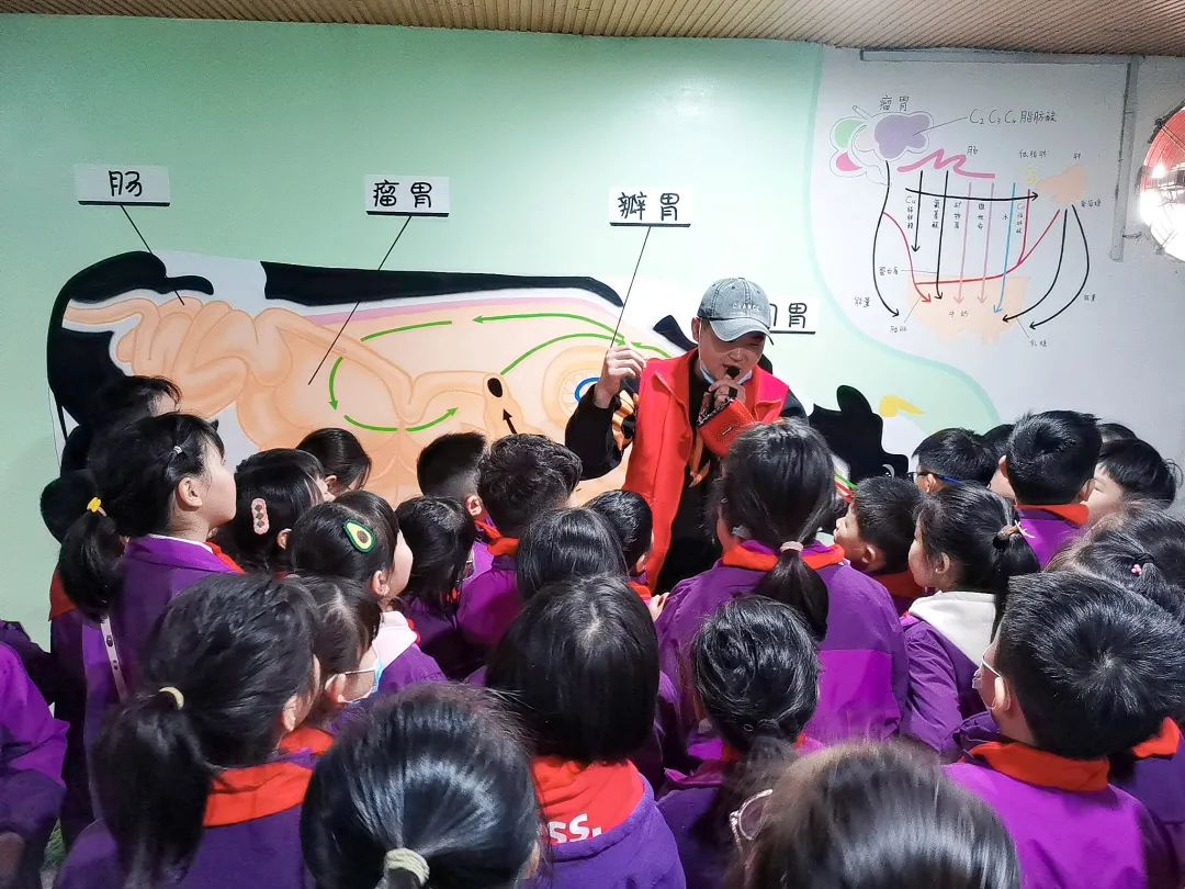 不負(fù)春光，快樂成長——洛陽東外小學(xué)部三年級研學(xué)旅行