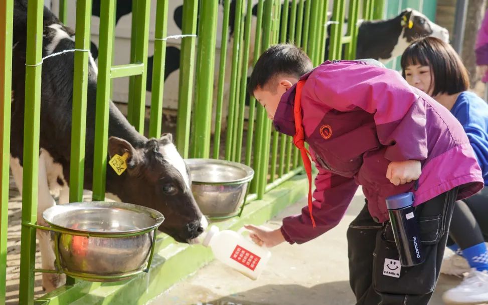 不負(fù)春光，快樂成長——洛陽東外小學(xué)部三年級研學(xué)旅行