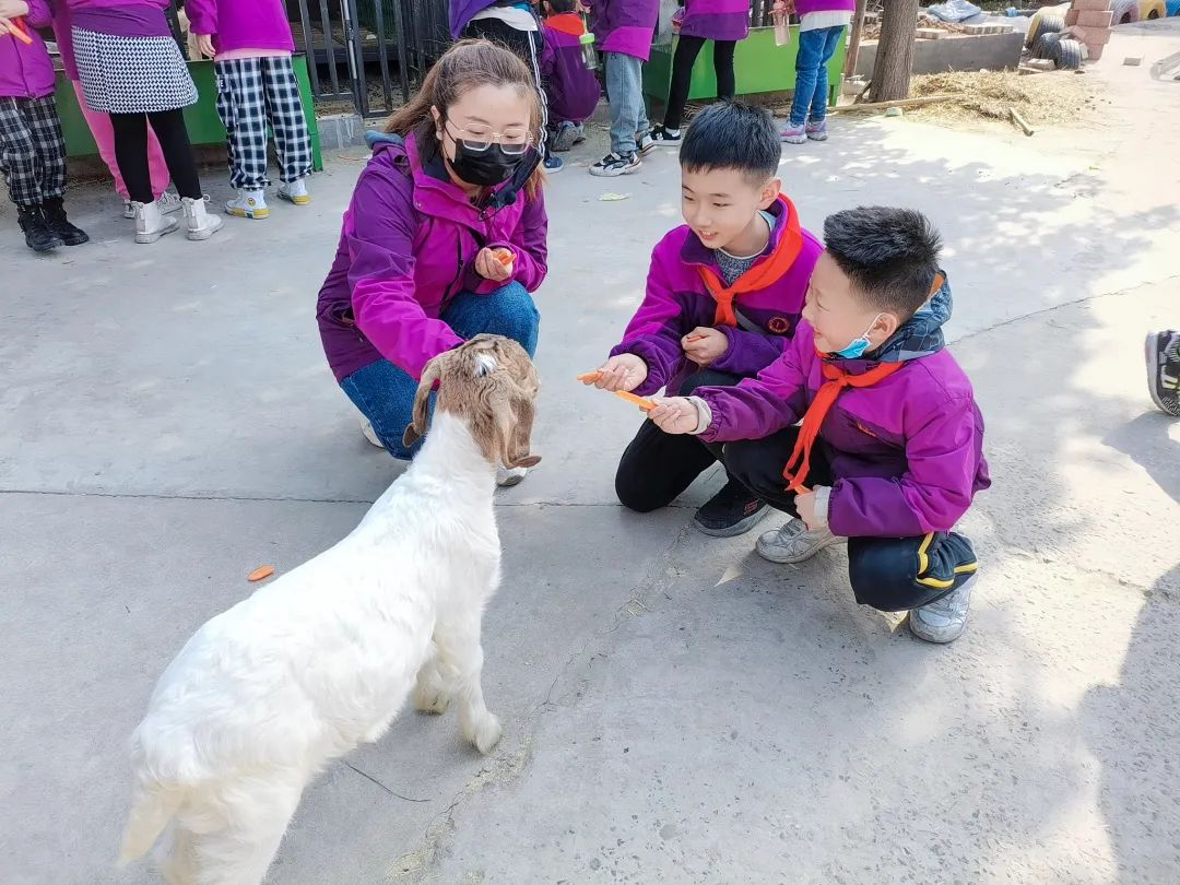 不負(fù)春光，快樂成長——洛陽東外小學(xué)部三年級研學(xué)旅行