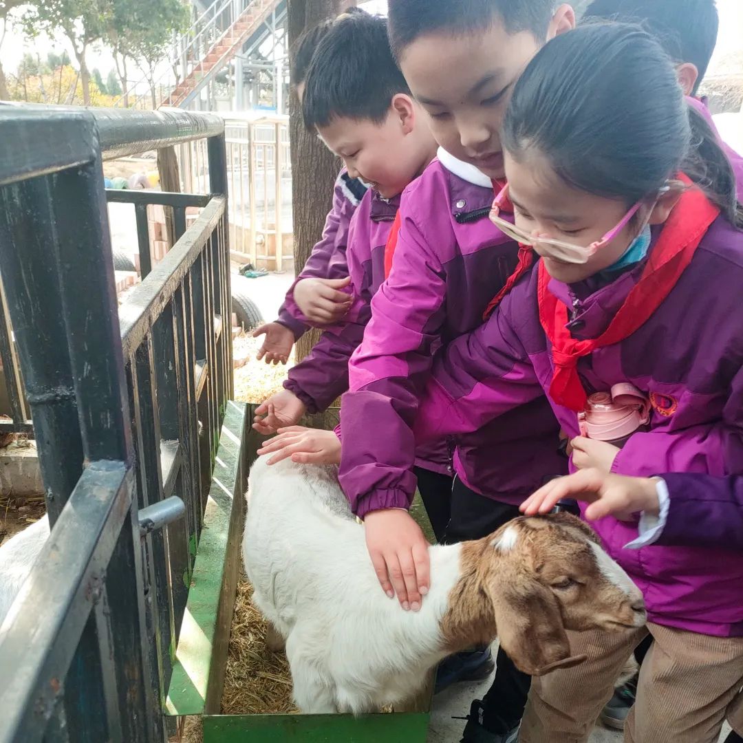不負(fù)春光，快樂成長——洛陽東外小學(xué)部三年級研學(xué)旅行
