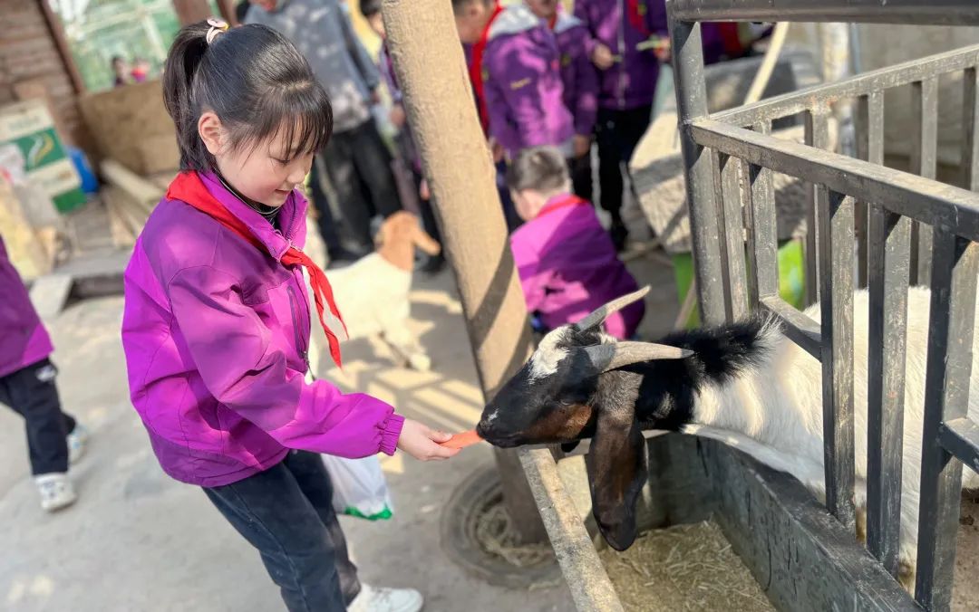不負(fù)春光，快樂成長——洛陽東外小學(xué)部三年級研學(xué)旅行
