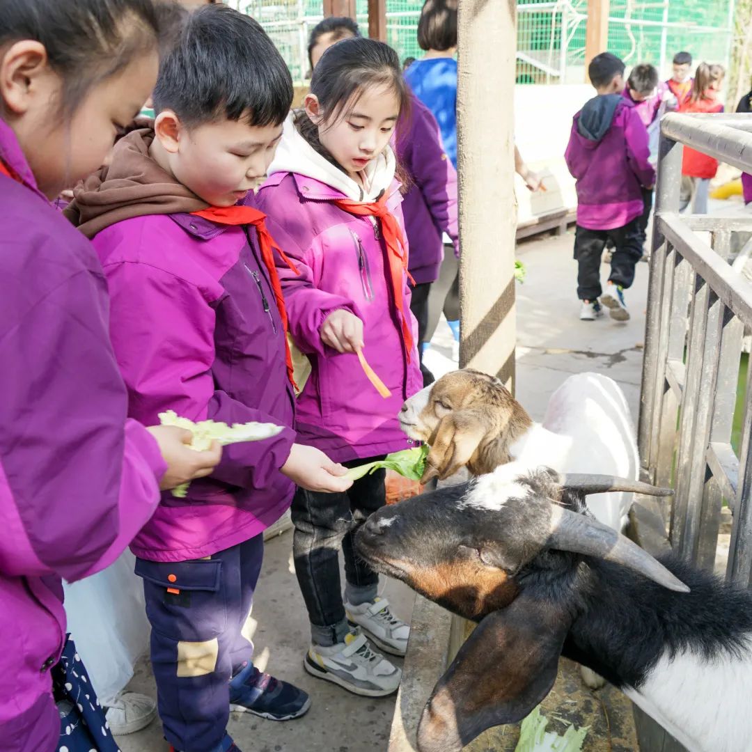 不負(fù)春光，快樂成長——洛陽東外小學(xué)部三年級研學(xué)旅行