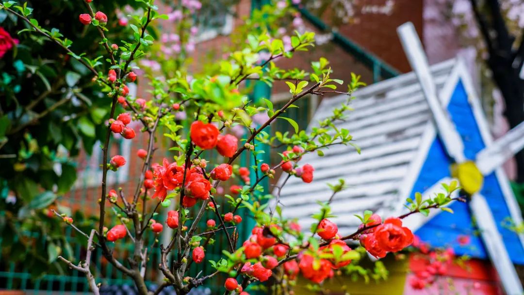 繁花似錦綻校園，核檢護(hù)航保平安