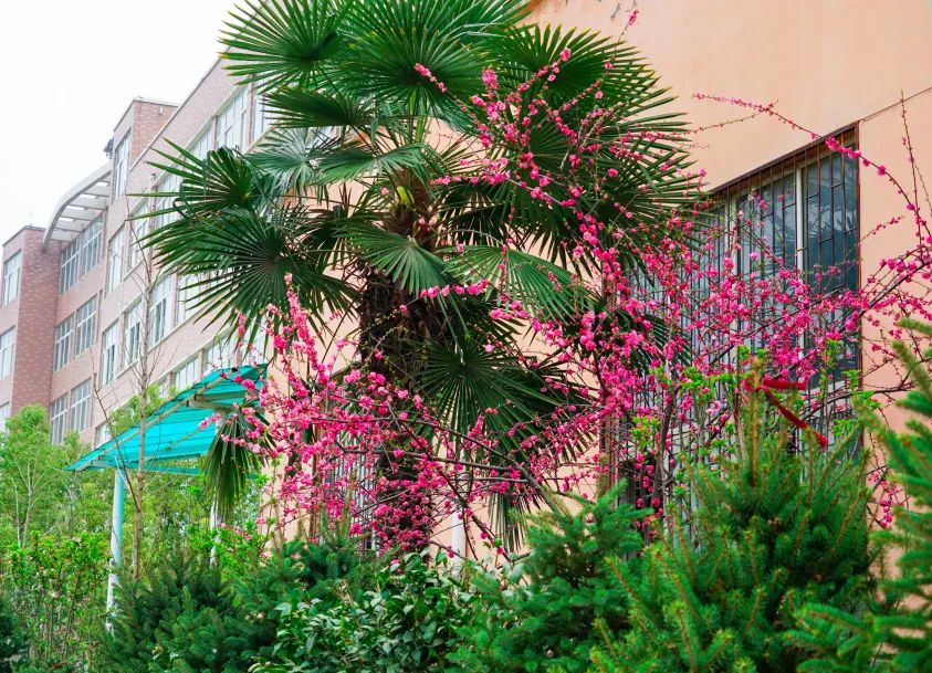 繁花似錦綻校園，核檢護(hù)航保平安