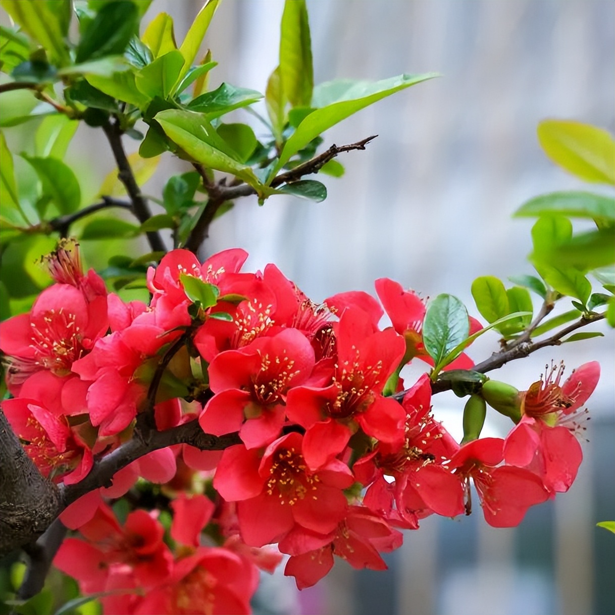繁花似錦綻校園，核檢護(hù)航保平安